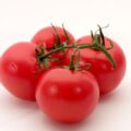 tomato 1 kg