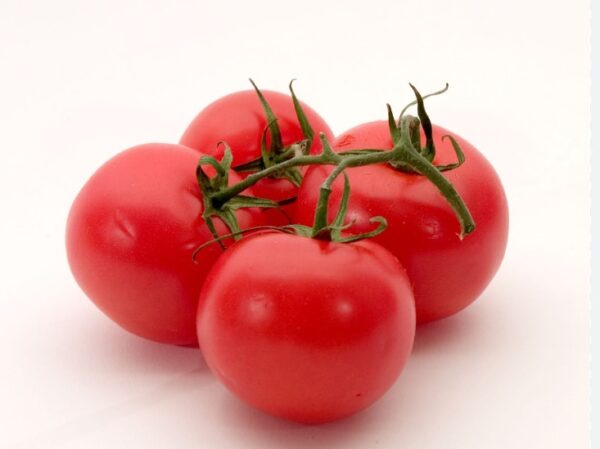 tomato