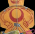 JIMART SPECIAL KITE 4PES PACK